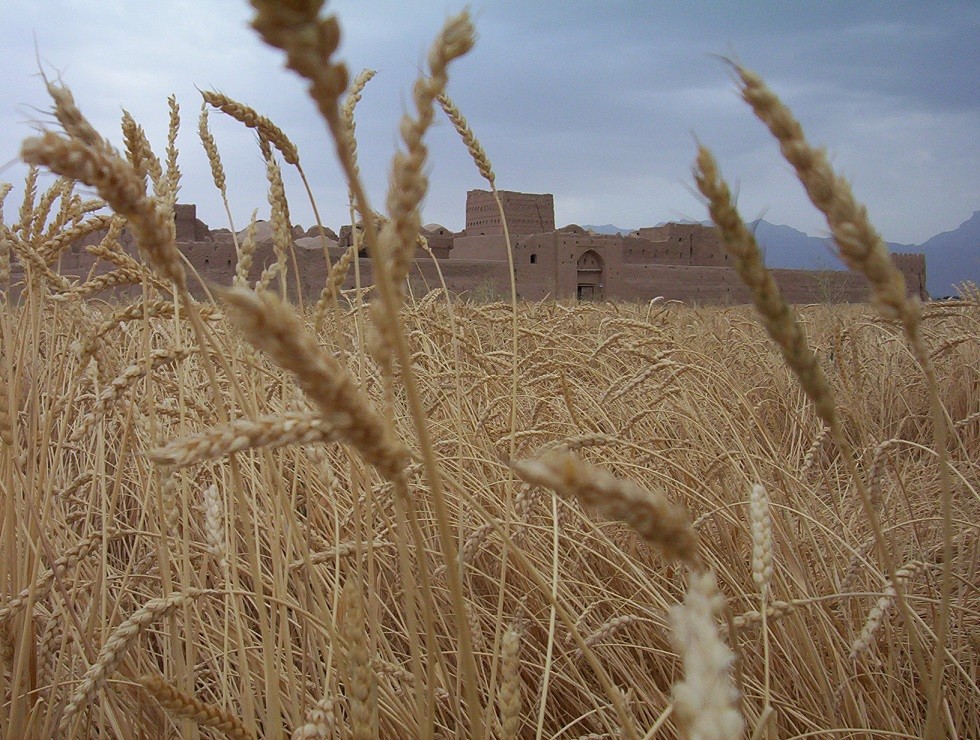 سرزمین مادری