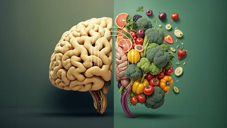 غذاهای برتر برای تقویت مغز هنگام مطالعه و امتحانات دانش‌آموزی