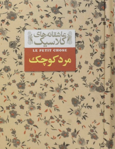 رمان مرد کوچک