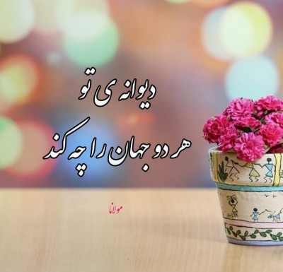 آن کس که ز چرخ نیم نانی دارد