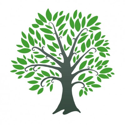 توسعه فردی
