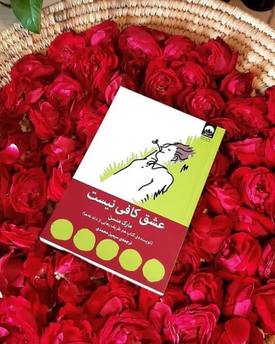 معرفی کتاب : عشق کافی نیست 