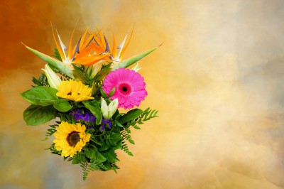 چون غرض آمد هنر پوشیده شد  