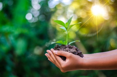 باغبان خوبی برای زندگی تان باشید