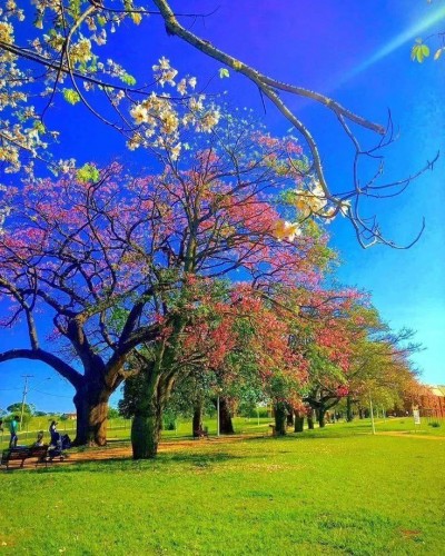 تا چه شوند عاشقان روز وصال ای خدا