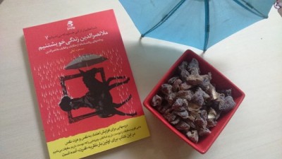 جملاتی از کتاب ملانصرالدین‌زندگی خویشتنیم اثر مسعود لعلی