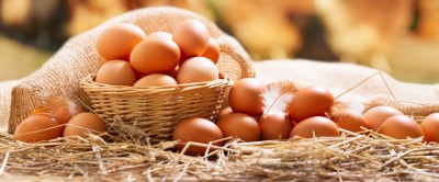 چند گرم پروتئین در یک تخم مرغ است؟