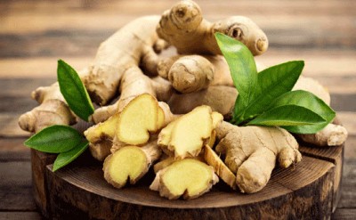 نحوه کاشت و پرورش زنجبیل