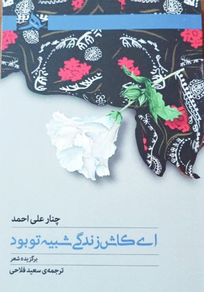 کتاب ای کاش زندگی شبیه تو بود منتشر شد