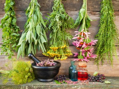 کمیاب‌ ترین گیاهان دارویی