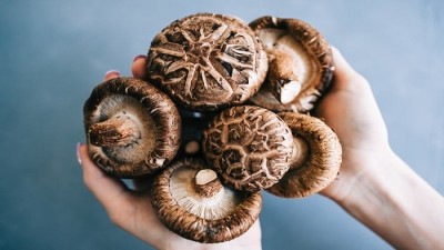 خواص و مزایای قارچ شیتاکه