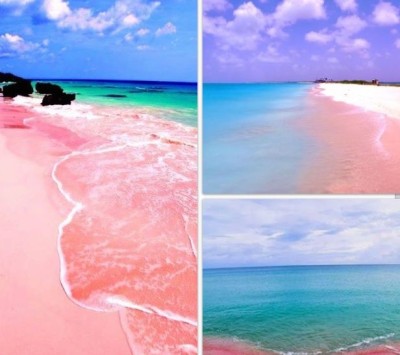  سواحل صورتی : زیباترین سواحل شن صورتی در جهان