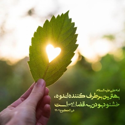 بهترين برطرف كننده اندوه