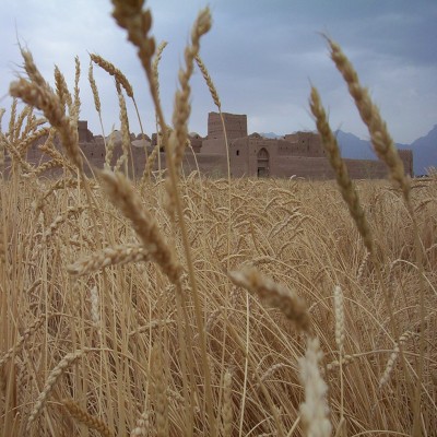 سرزمین مادری