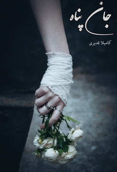 رمان جان پناه